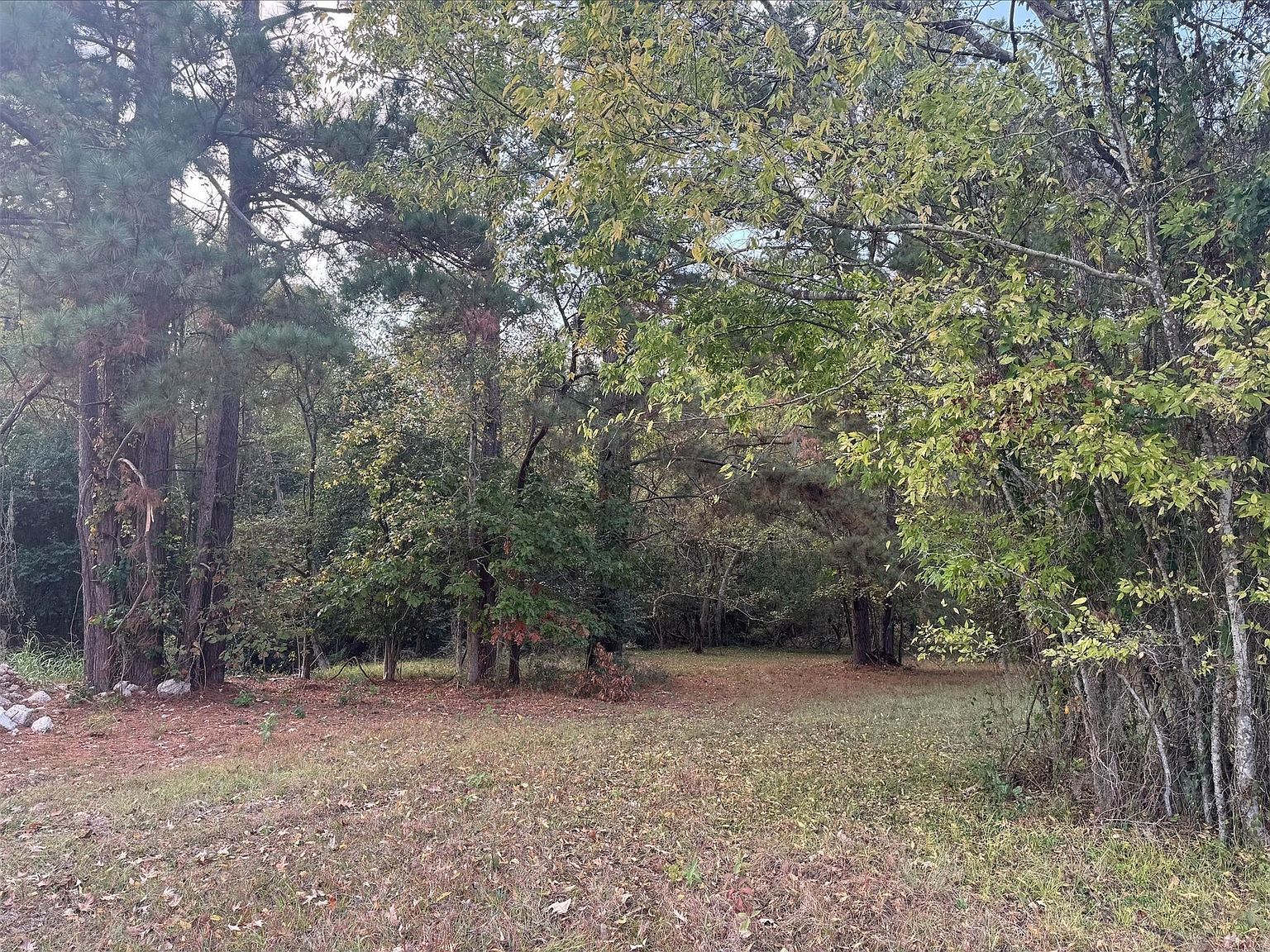 0 Silver Hickory Dr LOT 216 Coldspring, TX 77331 - Thumbnail 5