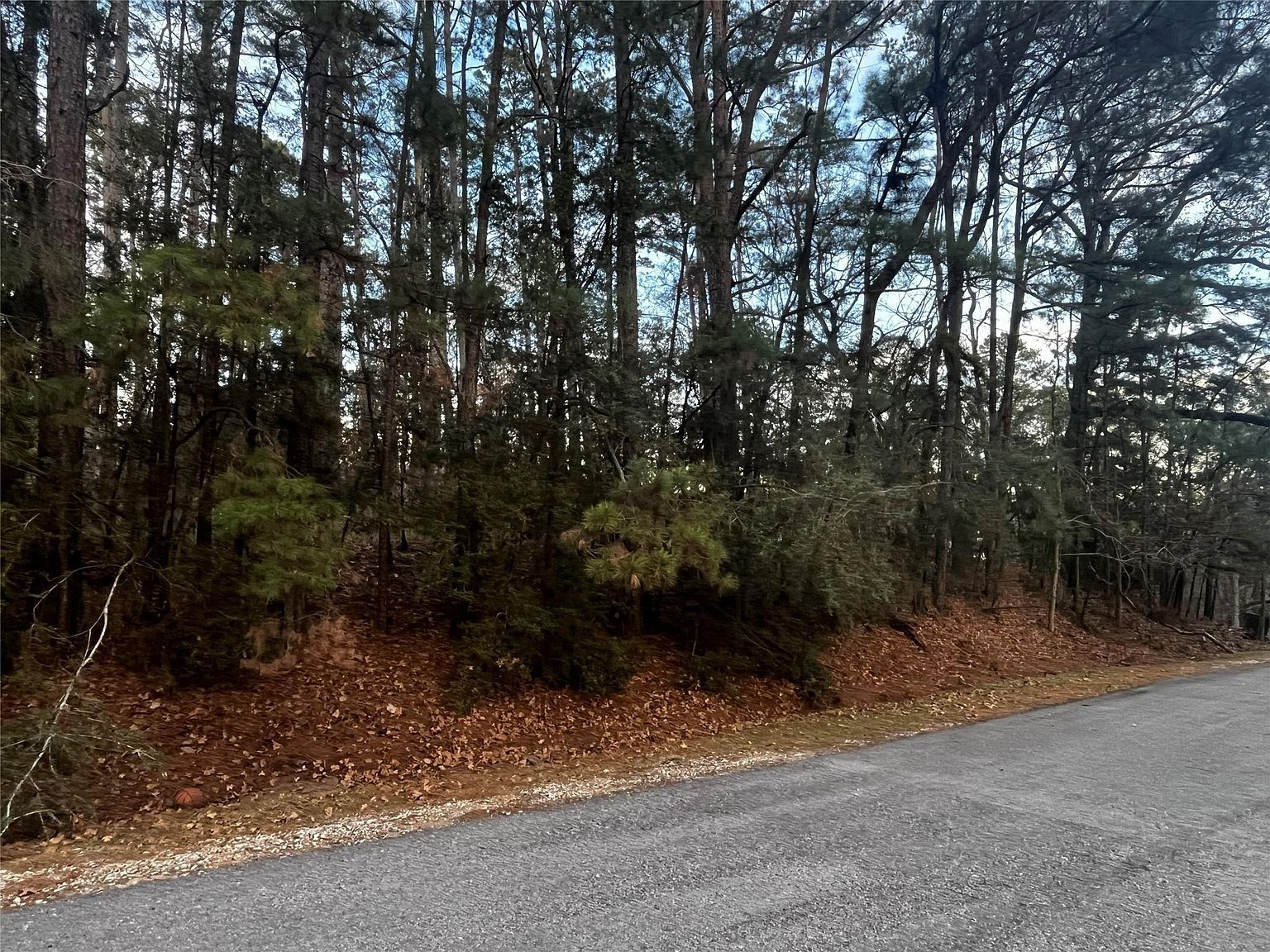 26 Sunny Hill Dr LOT 11 Coldspring, TX 77331 - Thumbnail 5
