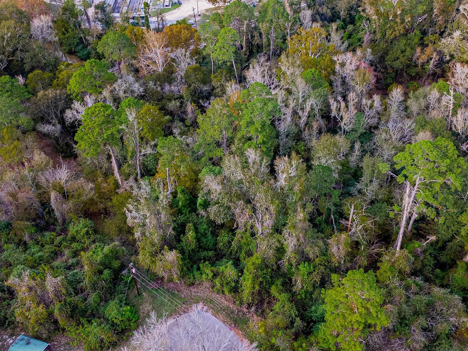 LOT 53 Cardinal Dr Lot 53 Livingston, TX 77351 - Thumbnail 5