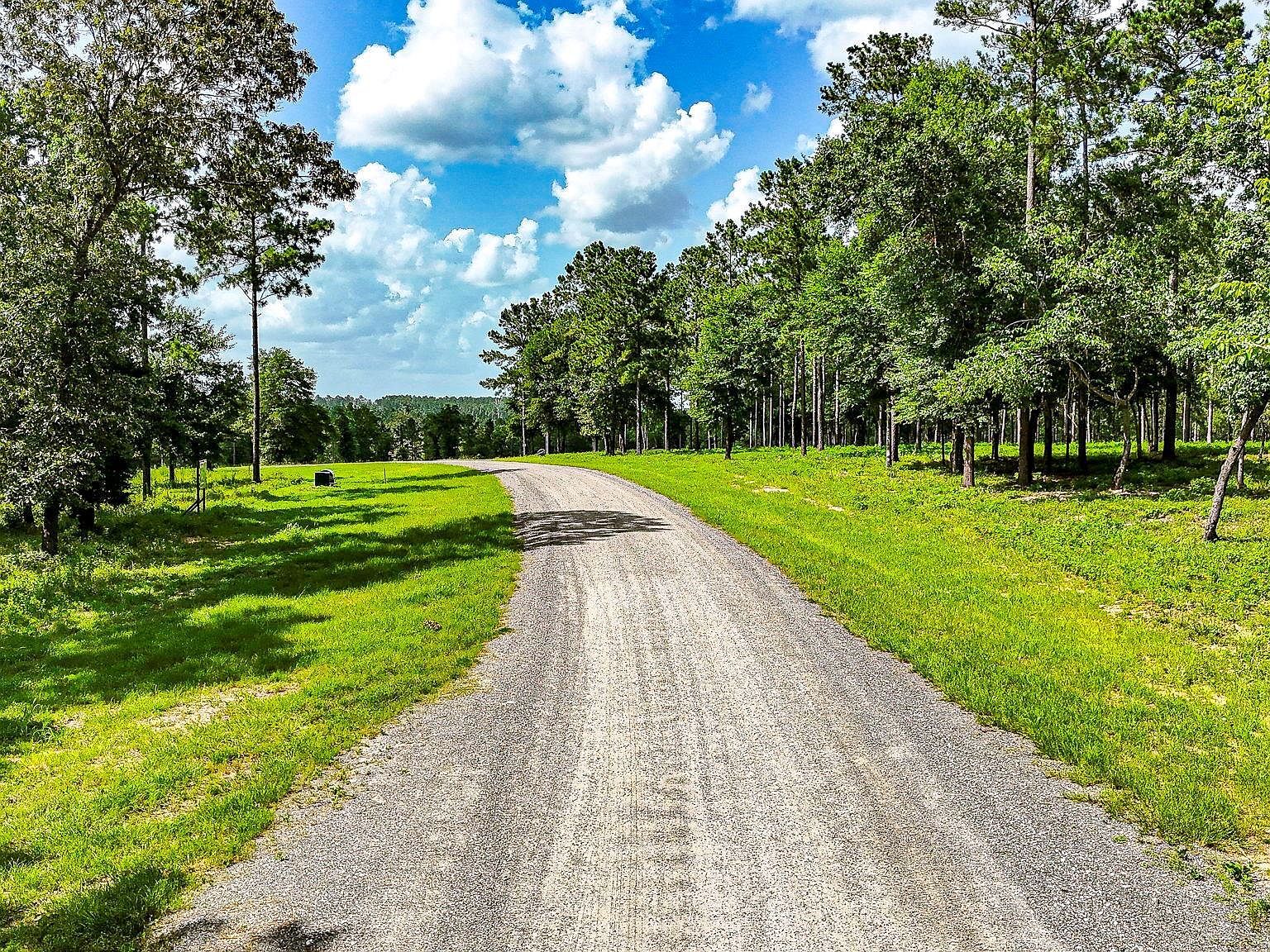 LOT 5 N Lake Dr Livingston, TX 77351 - Thumbnail 5