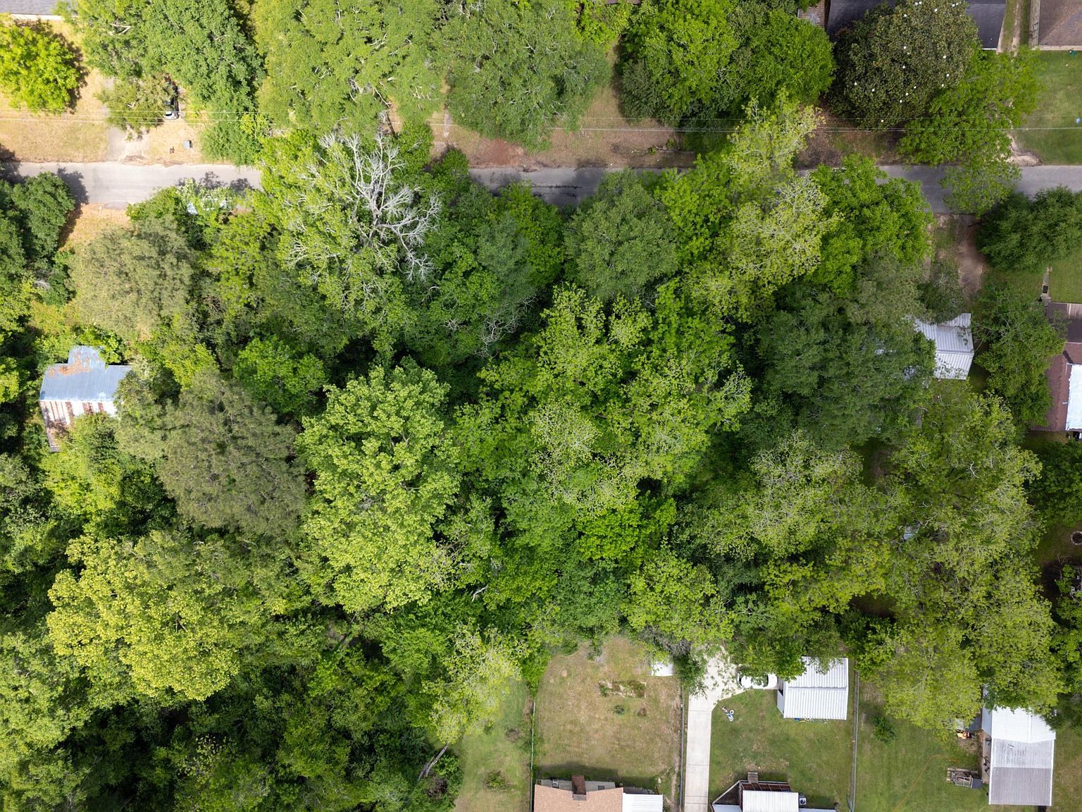 W Wheat St Lot F Woodville, TX 75979 - Thumbnail 5