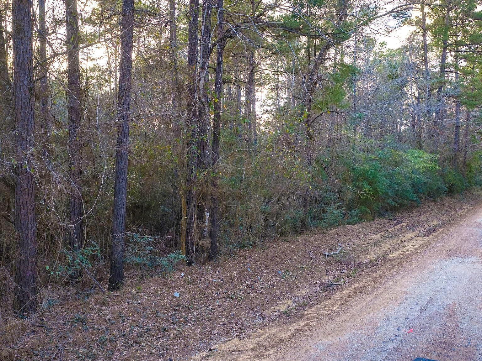 1 Holly Grove Rd Livingston, TX 77351 - Thumbnail 5