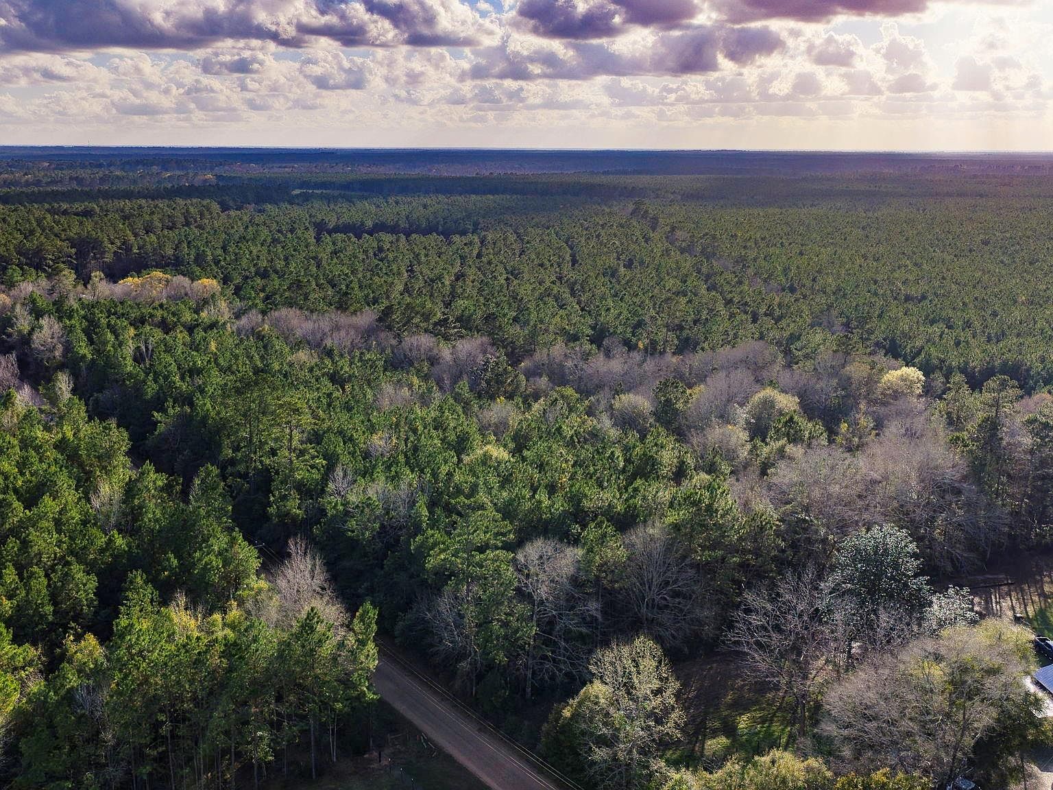 0 Holly Grove Rd Livingston, TX 77351 - Thumbnail 5