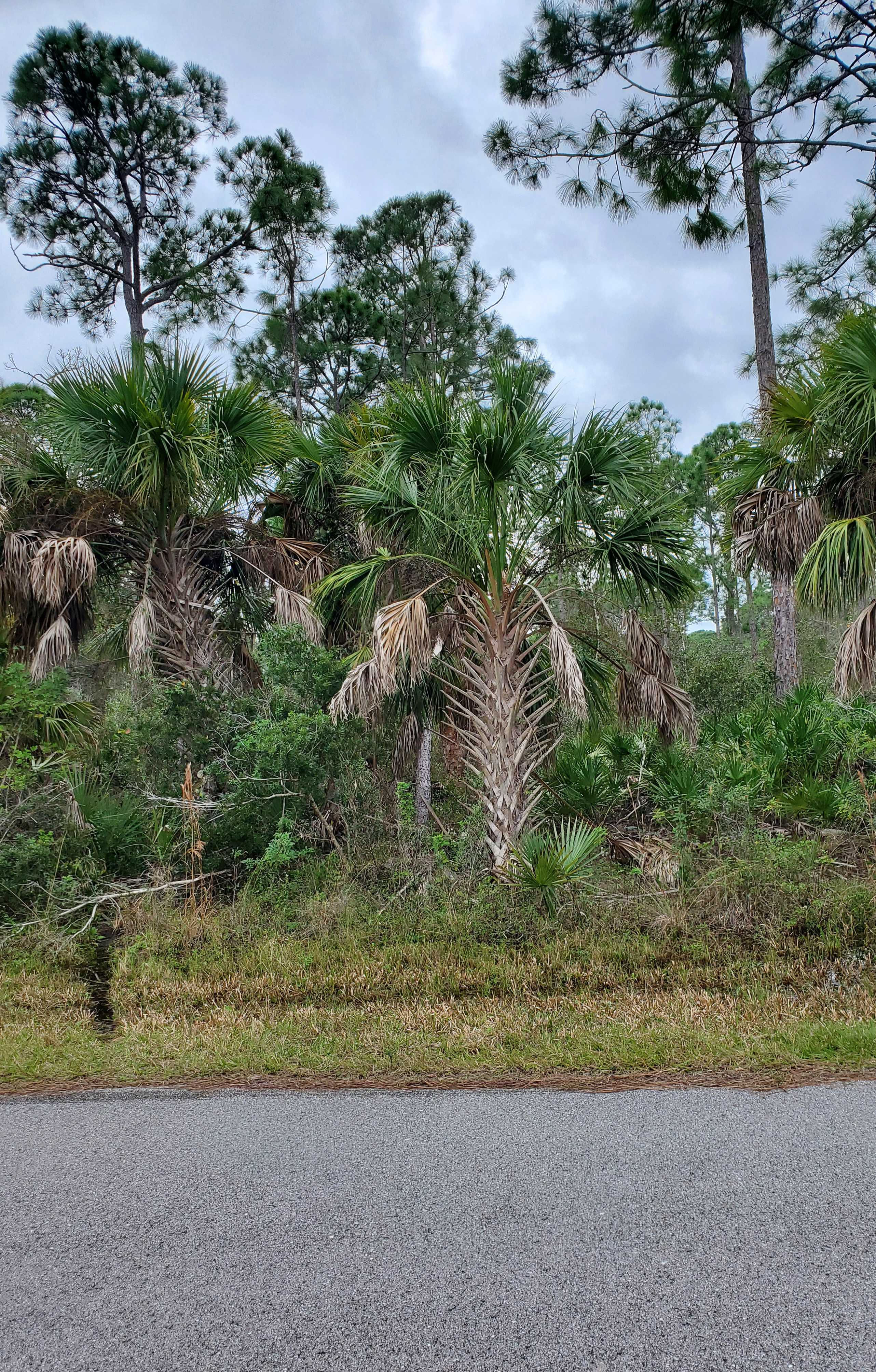 13361 Johannes Ave, Port Charlotte, FL, USA, 33953 | Land/Lot