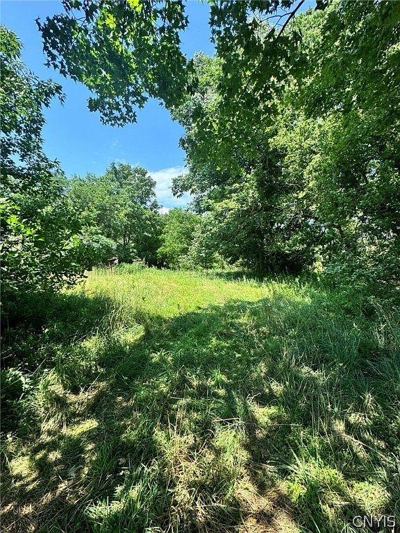 1253 Starr Rd #37 Cortland, NY 13045 - Thumbnail 5