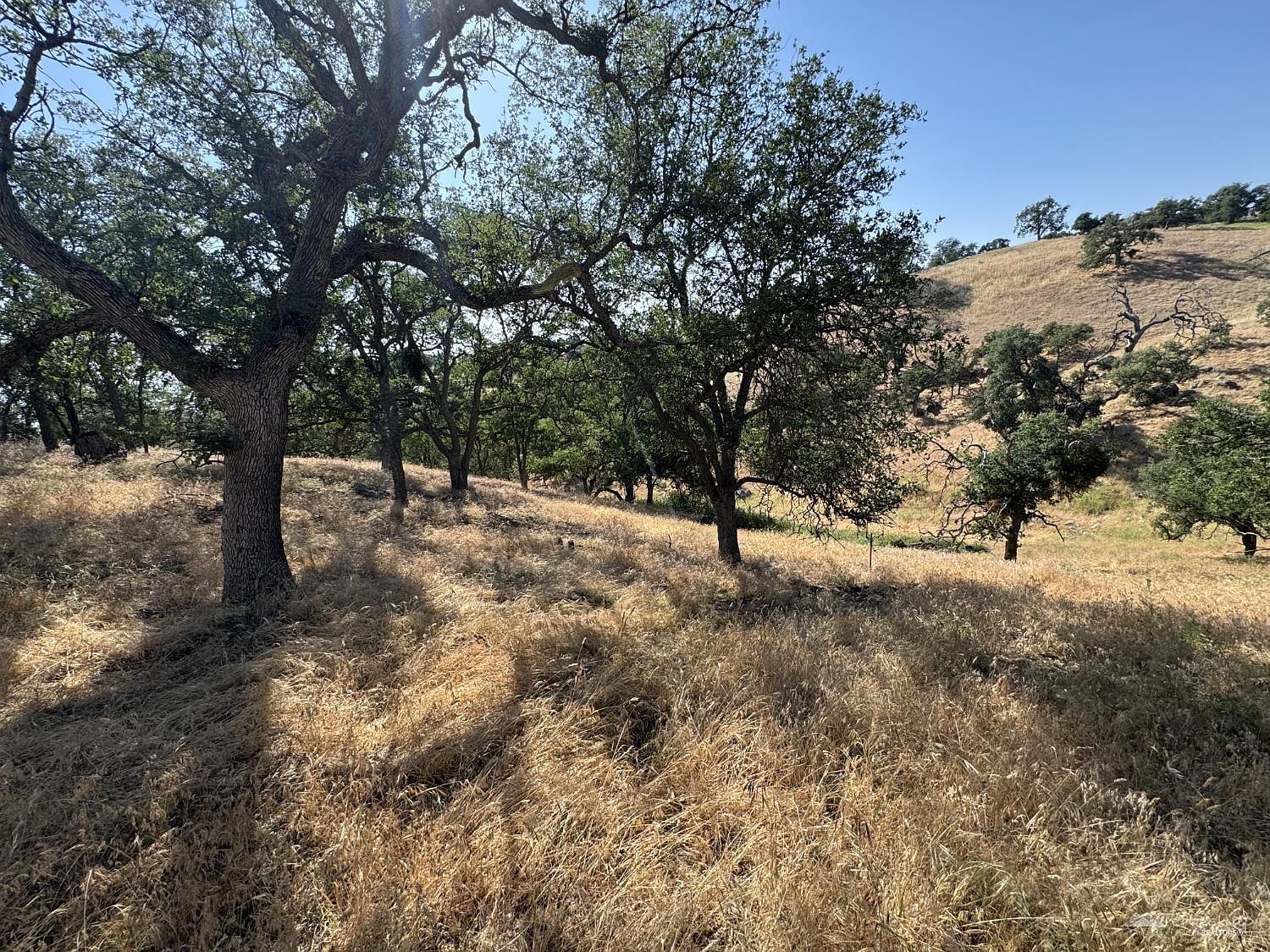 0 Jacks Hill Rd #19 Tehachapi, CA 93561 - Thumbnail 5