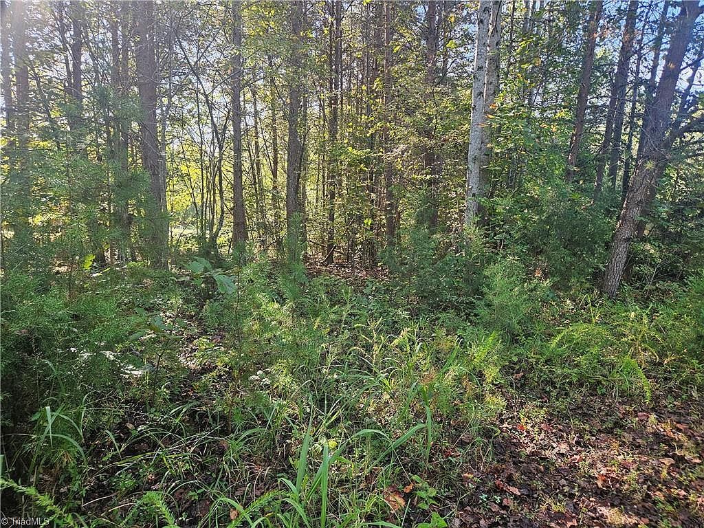 0 Dodgetown Rd Walnut Cove, NC 27052 - Thumbnail 5