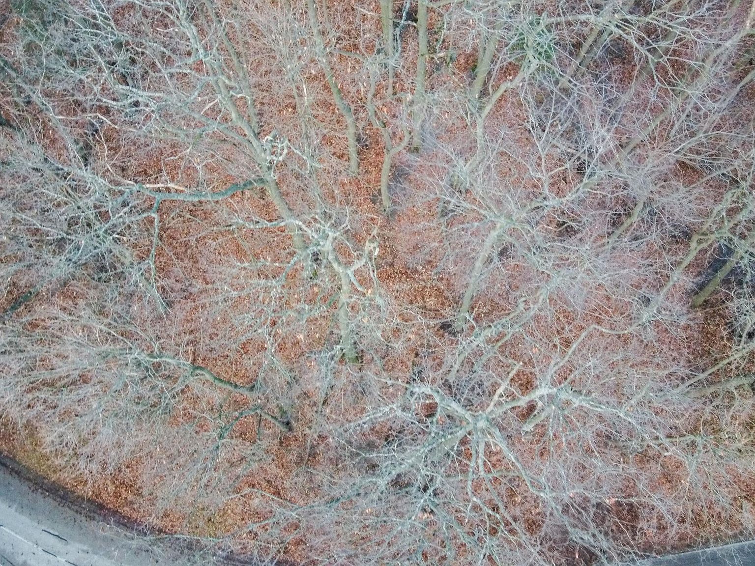 18200 N Shore Estates Rd Spring Lake, MI 49456 - Thumbnail 5