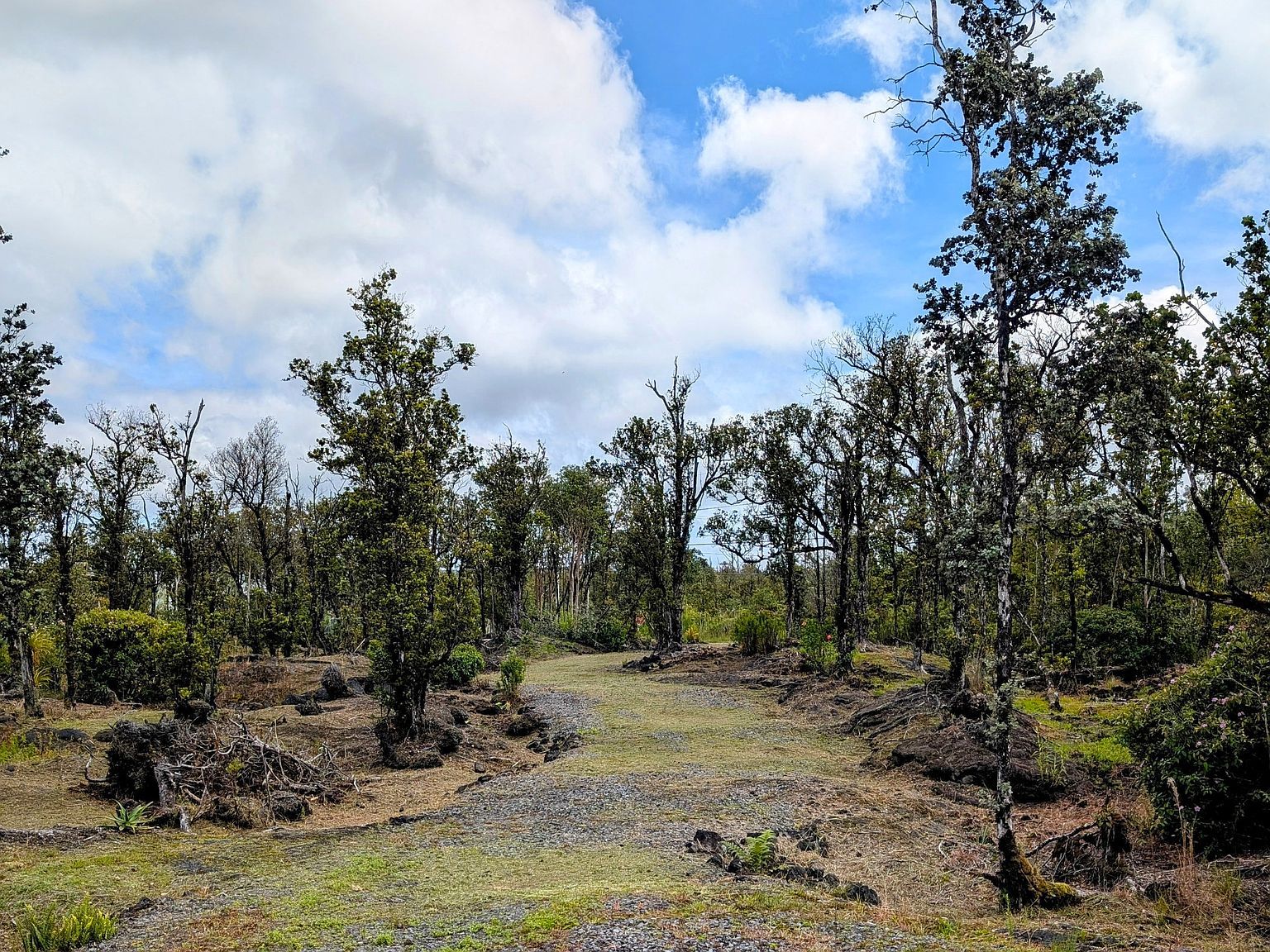 11-2026 Leila Rd Volcano, HI 96785 - Thumbnail 5