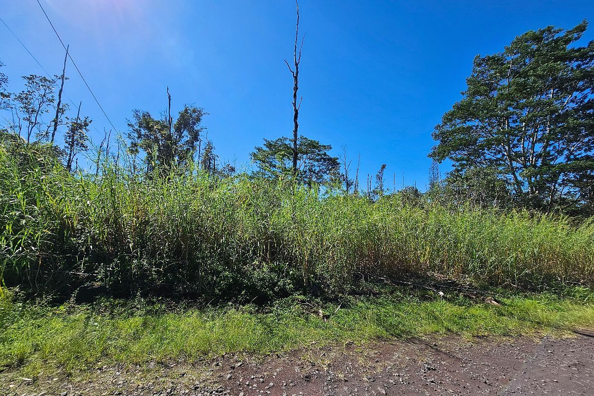 16-1920 36th Ave LOT 19 Kurtistown, HI 96760 - Thumbnail 5