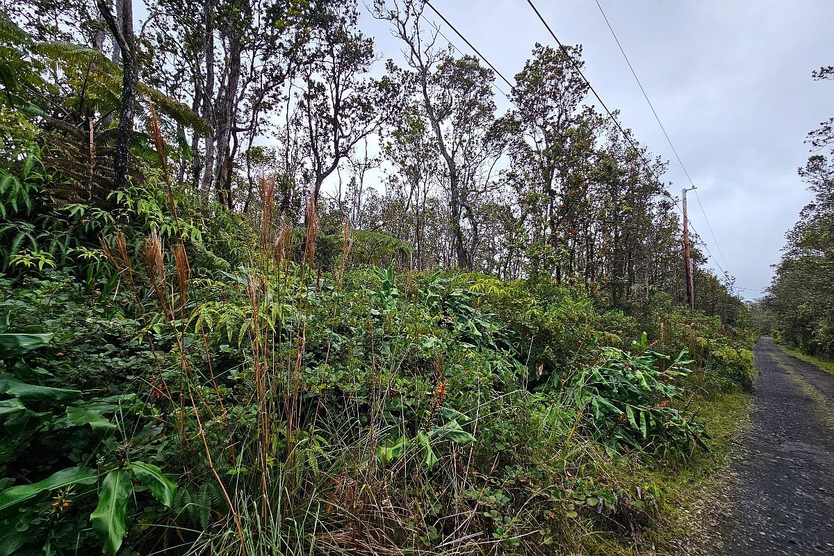 Kilihune Rd Lot 8758 Volcano, HI 96785 - Thumbnail 5