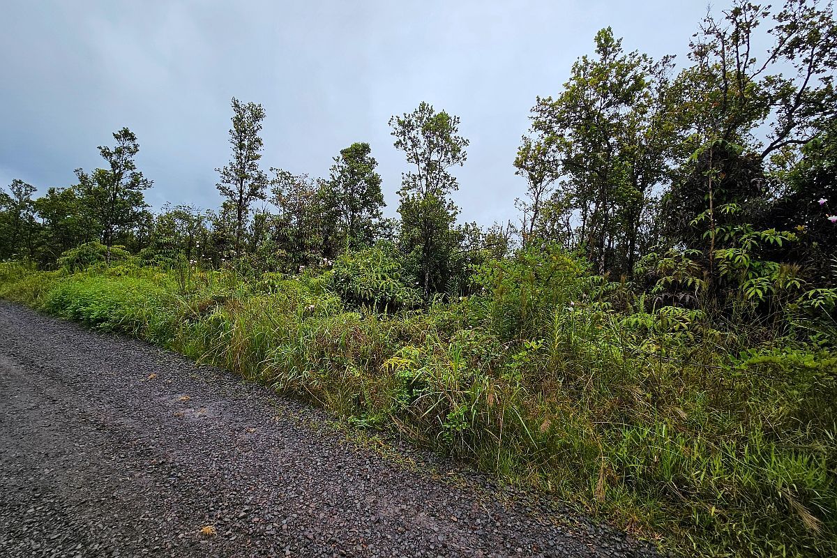 Makoa Rd Lot 5 Volcano, HI 96785 - Thumbnail 5