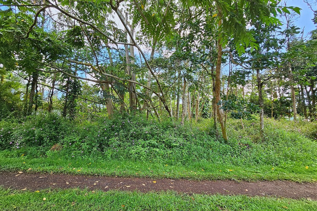 Priscilla Rd Lot 532 Pahoa, HI 96778 - Thumbnail 5
