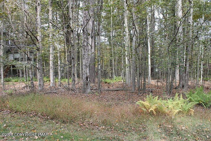 Paxino South Dr #DR1-6 Pocono Lake, PA 18347 - Thumbnail 5