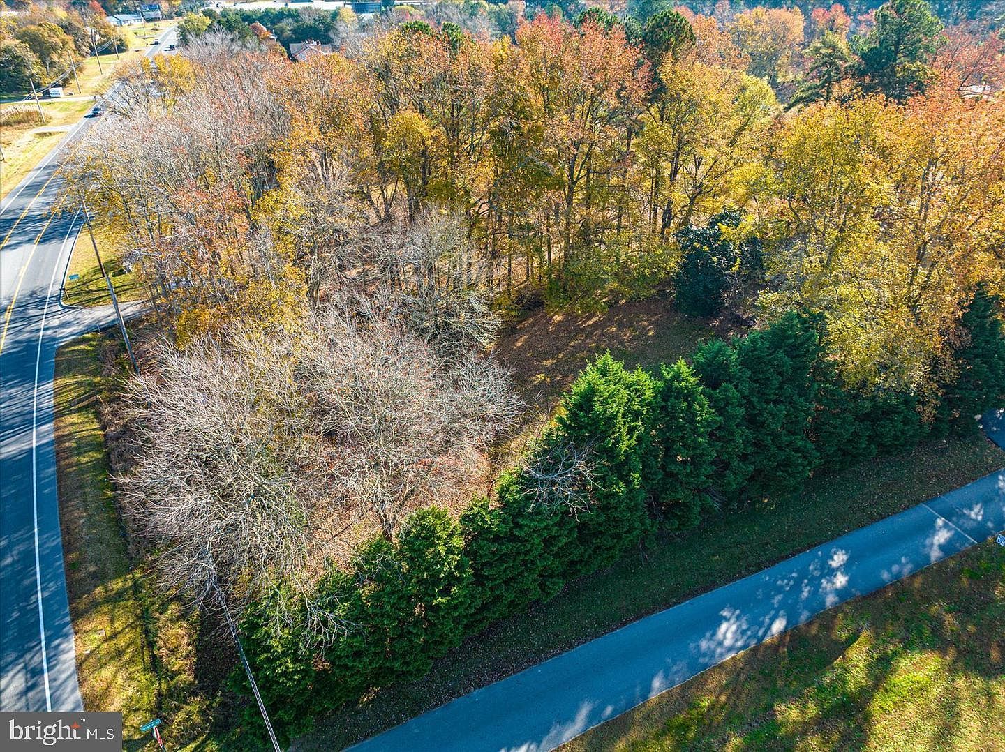 LOT 1 Diane Rd Ocean View, DE 19970 - Thumbnail 5