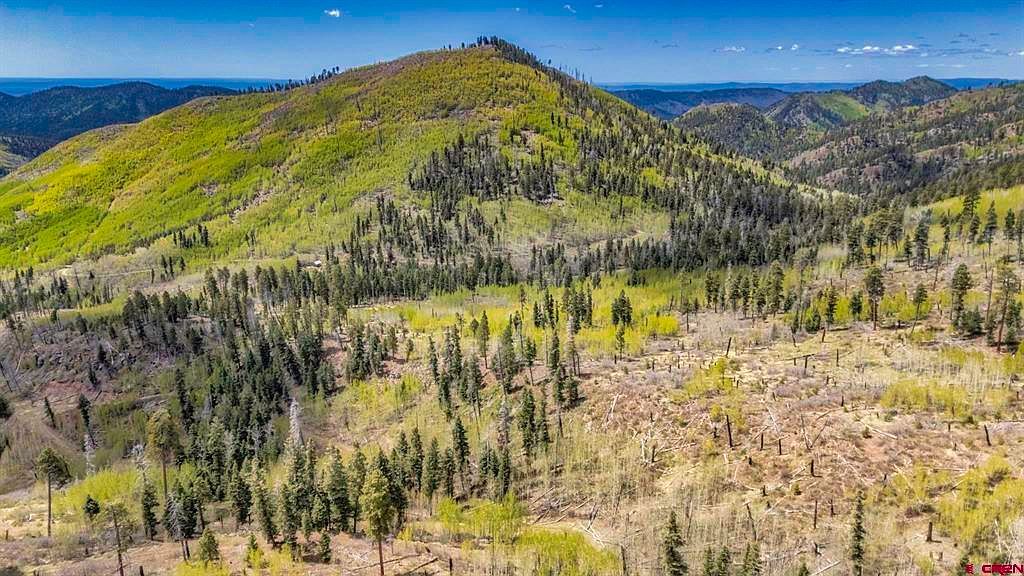 1515 County Road 243 Durango, CO 81301 - Thumbnail 5