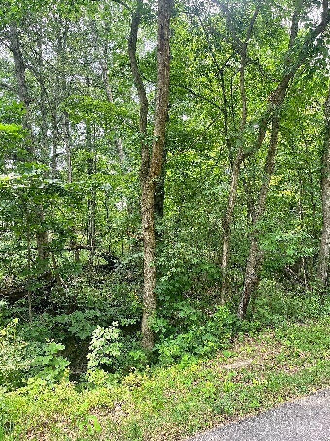 0 Horse Shoe Dr Sardinia, OH 45171 - Thumbnail 5