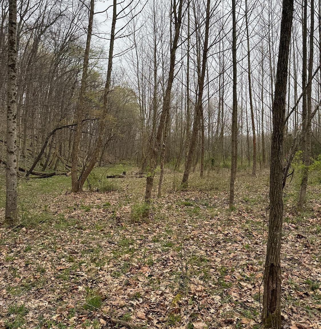 6 Stony Hollow Rd Georgetown, OH 45121 - Thumbnail 5