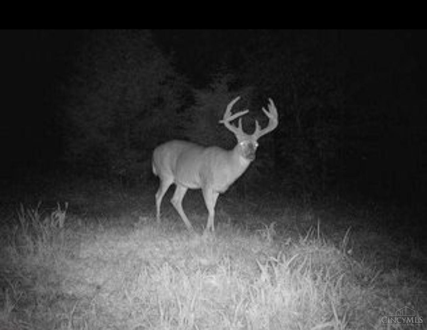 359 Buck Run Rd Seaman, OH 45679 - Thumbnail 5