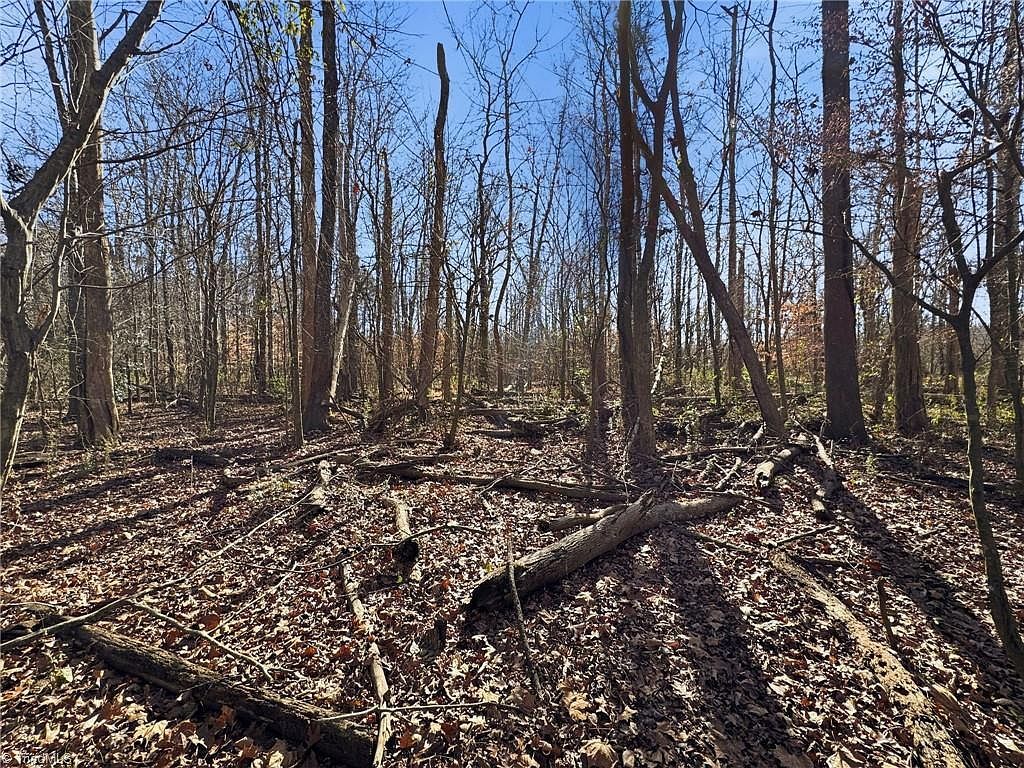 0 S Peace Haven Rd Winston Salem, NC 27104 - Thumbnail 5