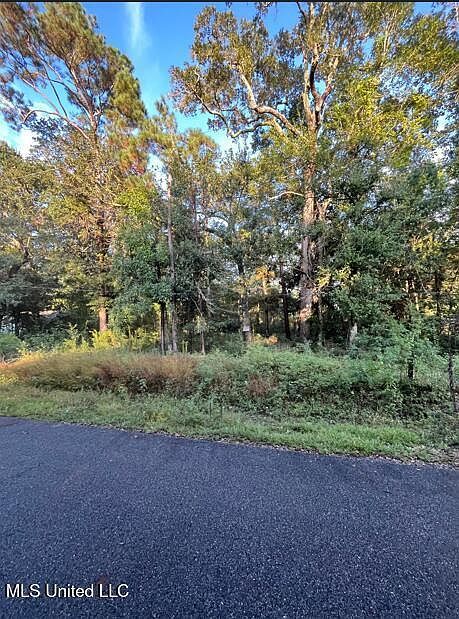 0 Dorothy St Ocean Springs, MS 39564 - Thumbnail 5