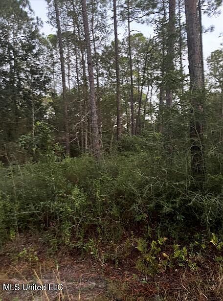 0 18th St Pass Christian, MS 39571 - Thumbnail 5