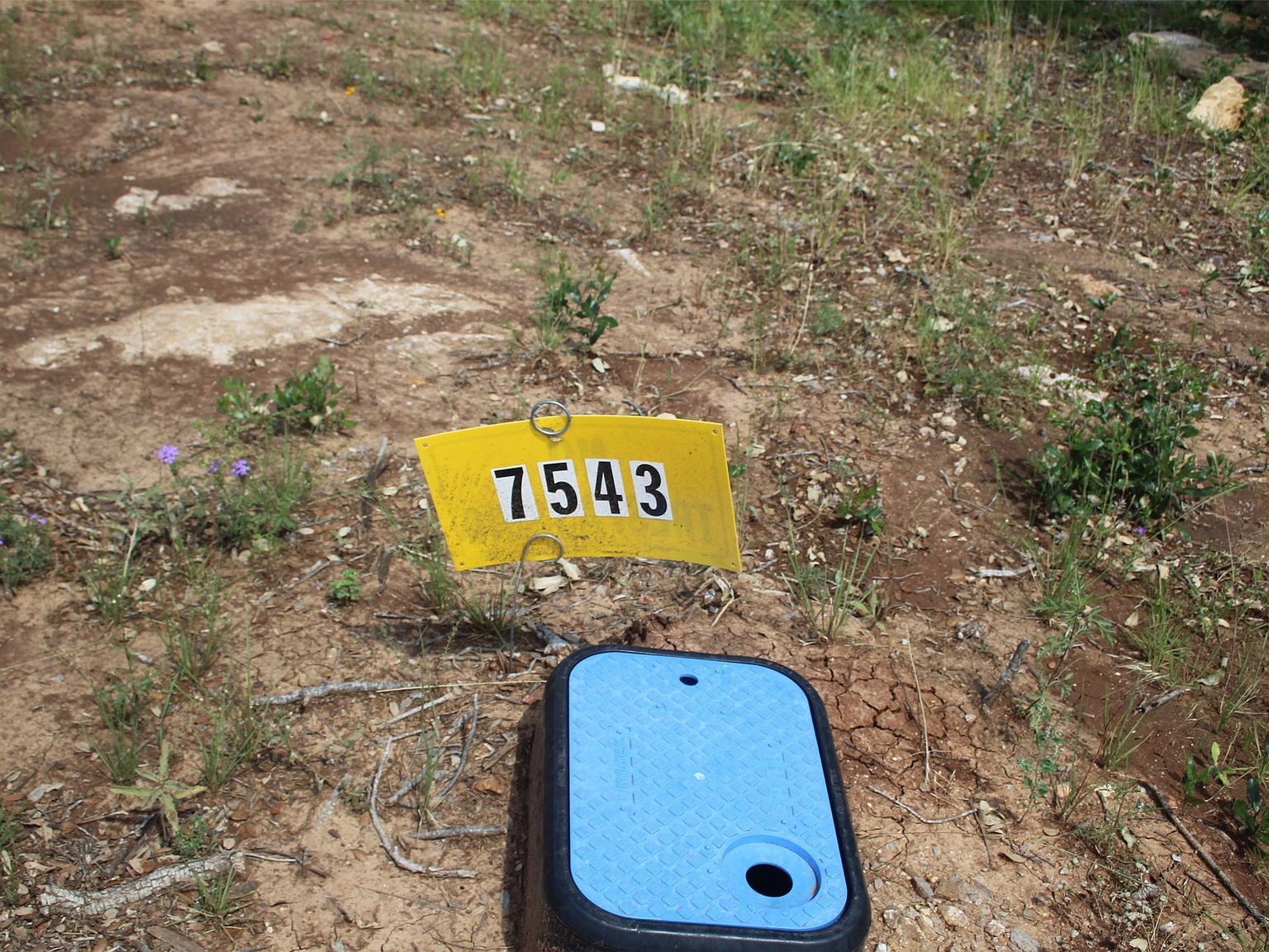 7543 Feather Bay Blvd Brownwood, TX 76801 - Thumbnail 5