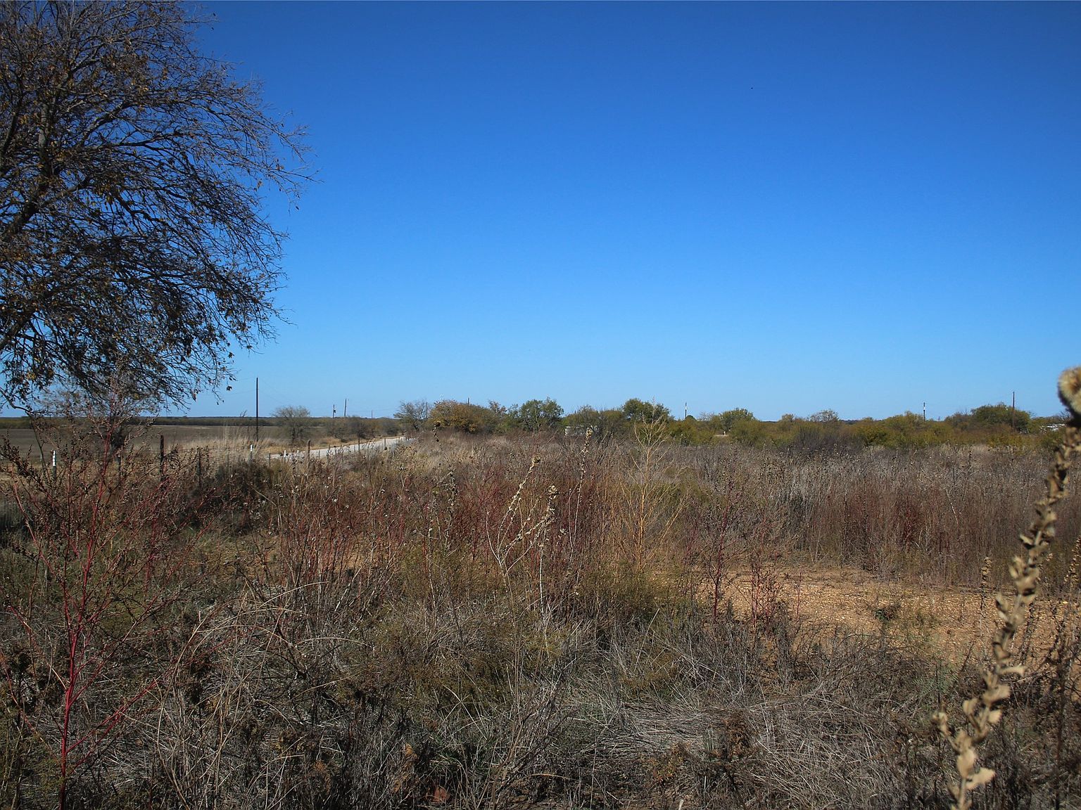 County Road 171 Bangs, TX 76823 - Thumbnail 5