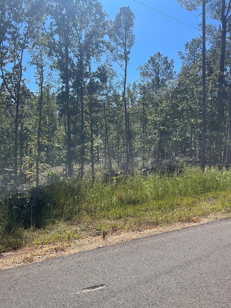 0 Lakepoint Dr LOT 27 Huntingdon, TN 38344 - Thumbnail 5