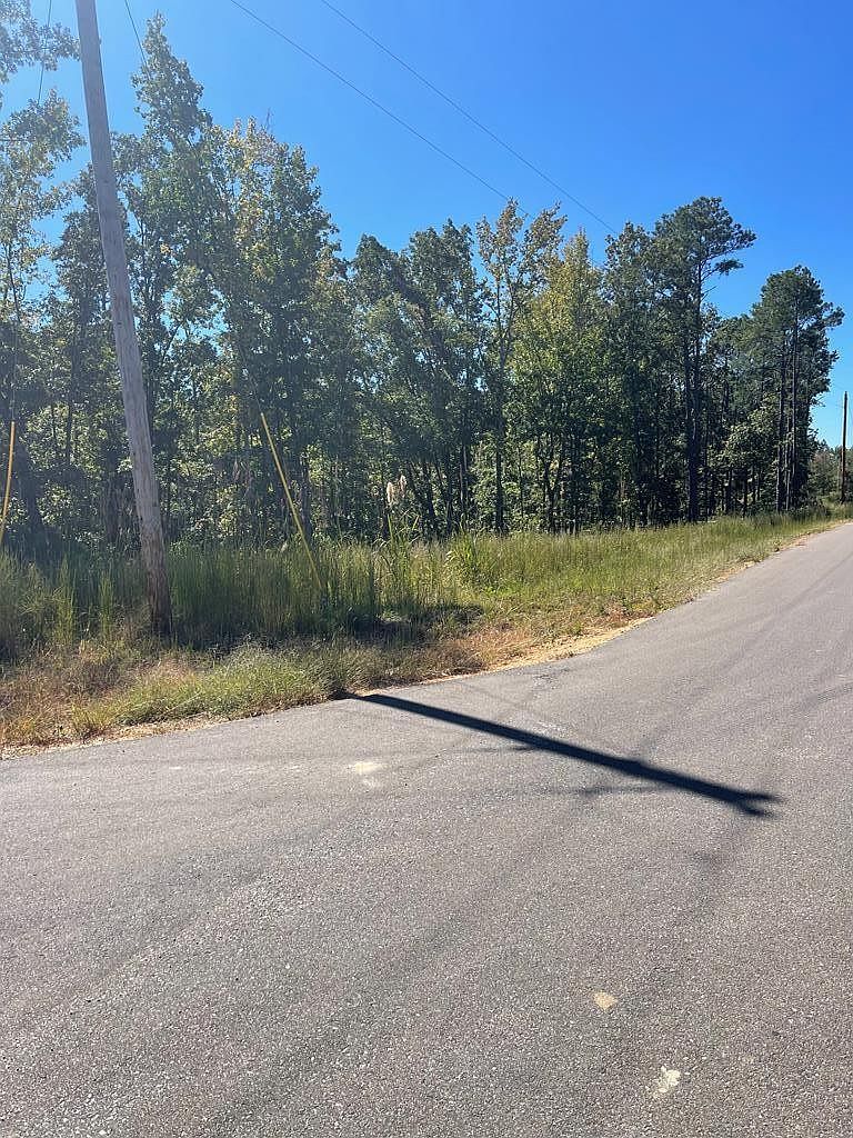 0 Beach Bluff Ln LOT 25 Huntingdon, TN 38344 | Land/Lot