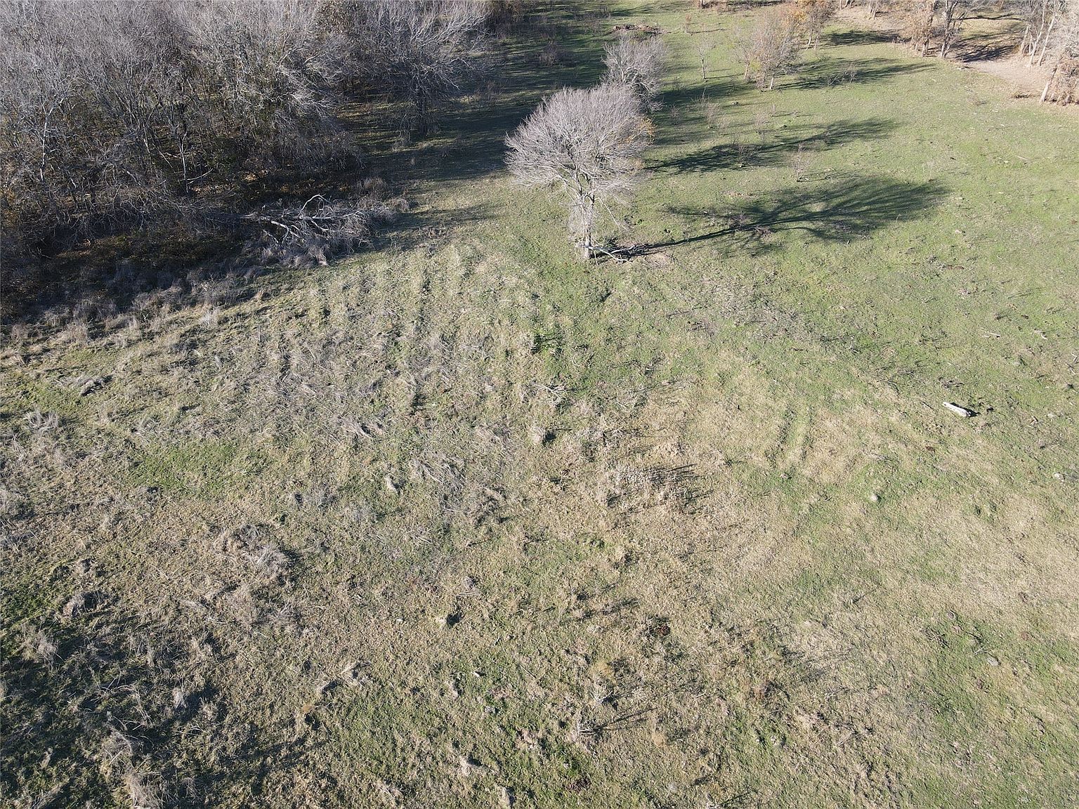 47 Paradise Oaks Rnch Poolville, TX 76487 - Thumbnail 5