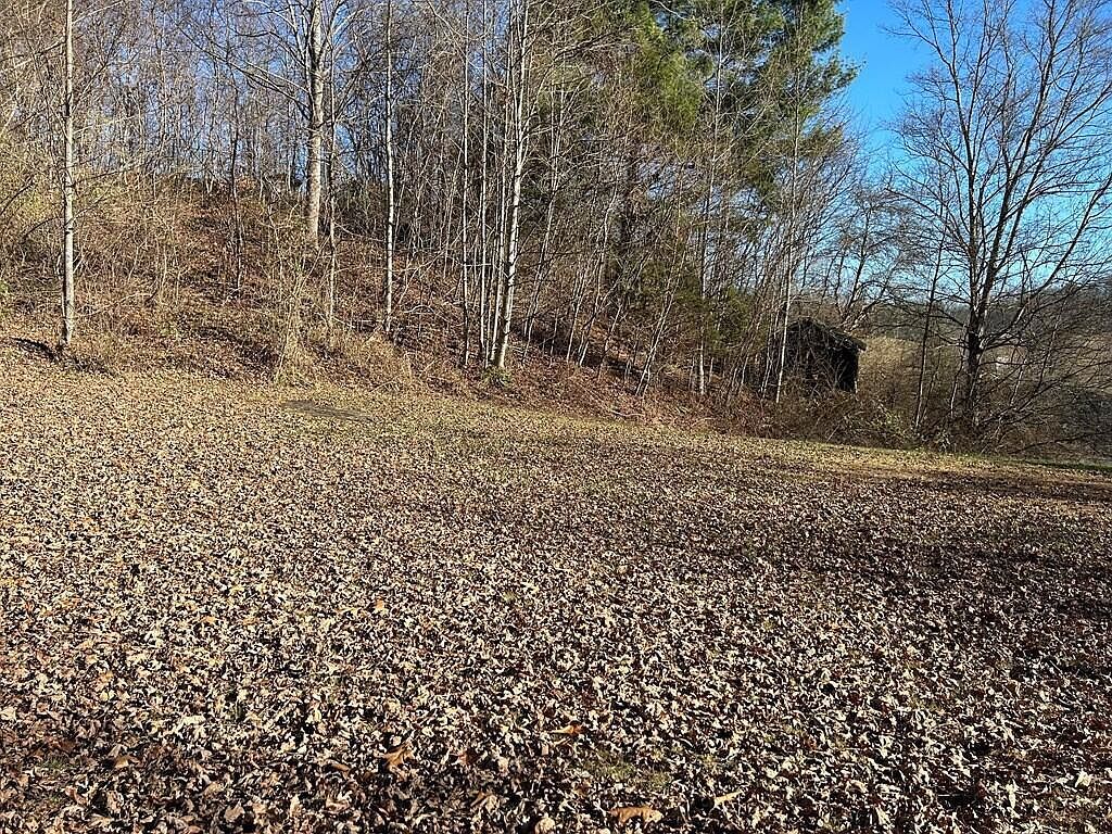 1 Horton Ridge Rd Swords Creek, VA 24649 - Thumbnail 5