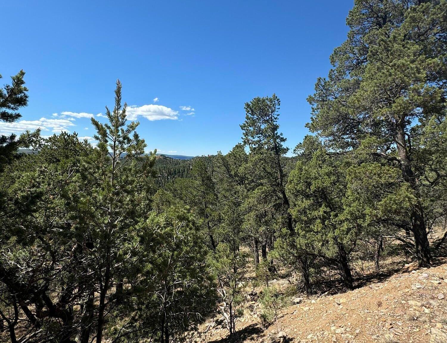 L10c Flute Player Alto, NM 88312 - Thumbnail 5