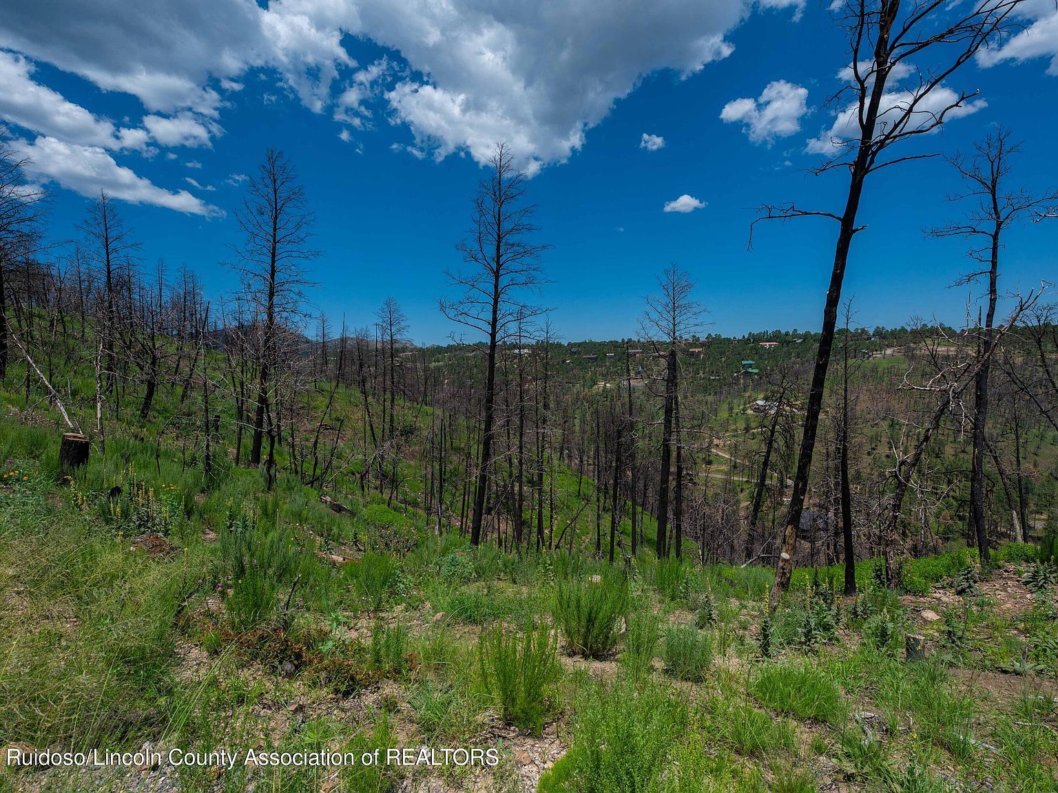 LOT 11 Gavilan Hills Rd Ruidoso, NM 88345 - Thumbnail 5