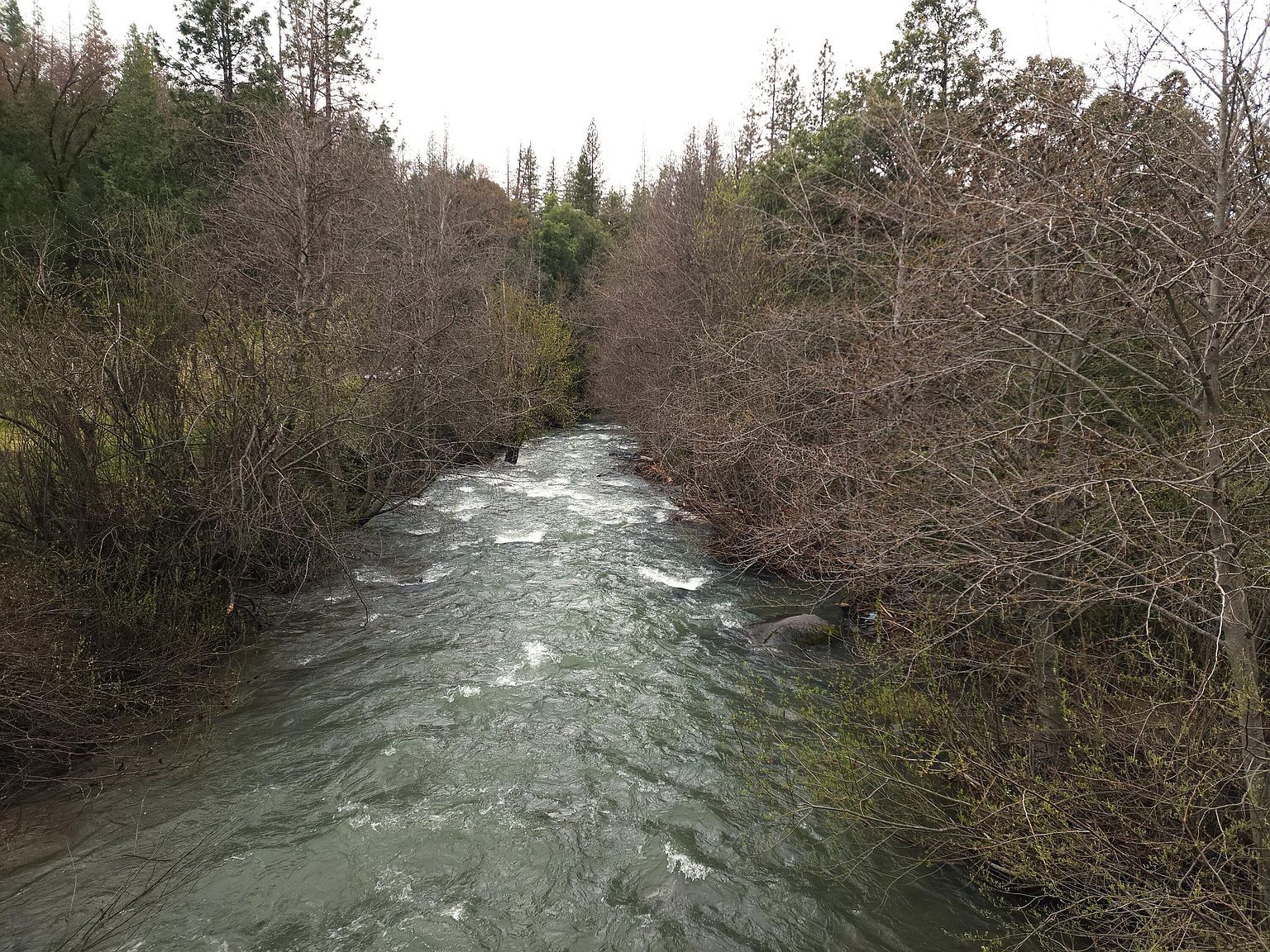 0 Phillips Rd Oak Run, CA 96069 - Thumbnail 5