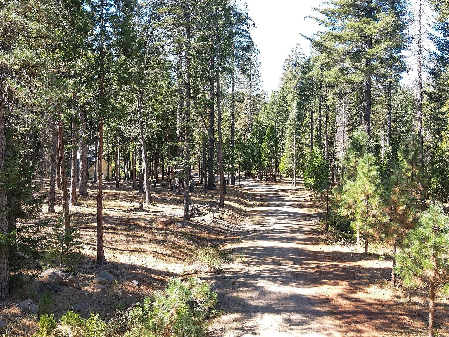 0 State Highway 44 Shingletown, CA 96088 - Thumbnail 5