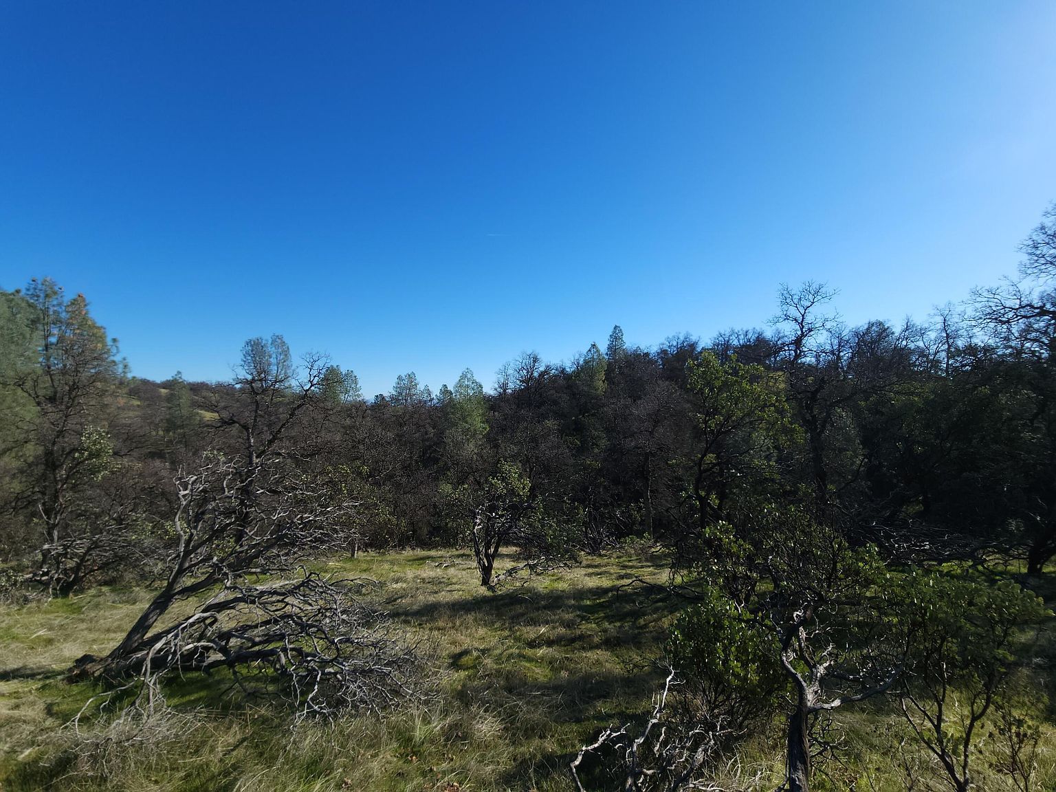 762 Branstetter Ln Redding, CA 96001 - Thumbnail 5