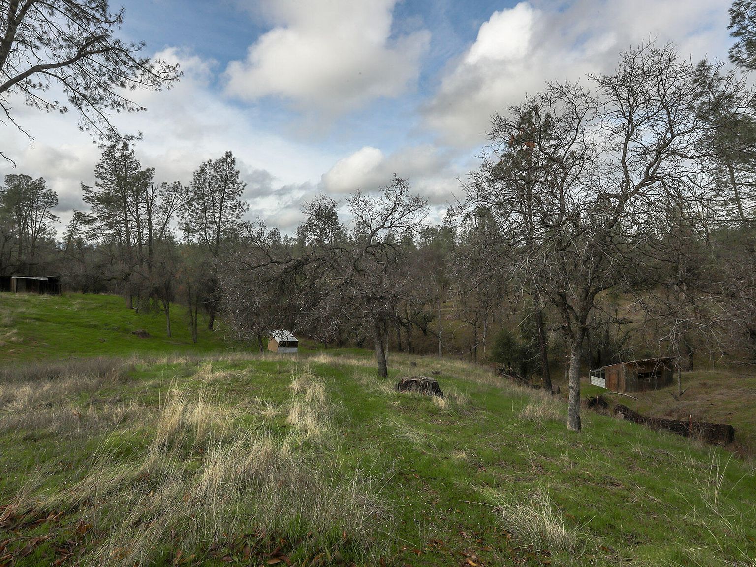 18725 Wilderness Trl Cottonwood, CA 96022 - Thumbnail 5