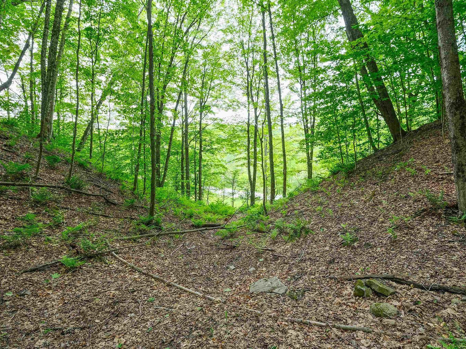 0 E Ash Rd Plymouth, VT 05056 - Thumbnail 5