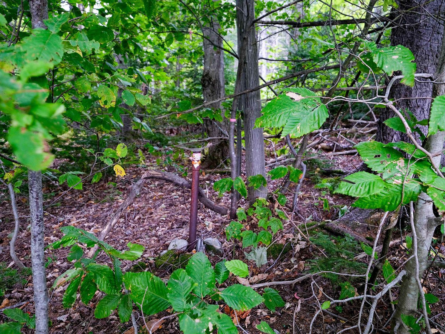 0 Evergreen Acres Ludlow, VT 05149 - Thumbnail 5