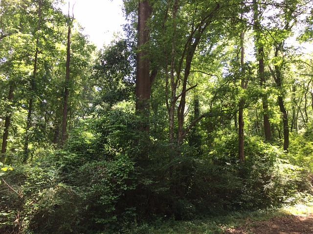 1516 E Lantrip St Kilgore, TX 75662 - Thumbnail 5