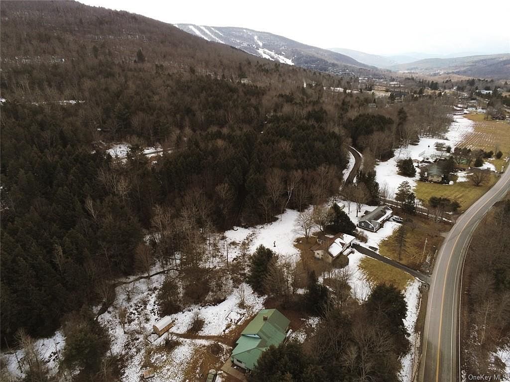 61 South St Windham, NY 12496 - Thumbnail 5