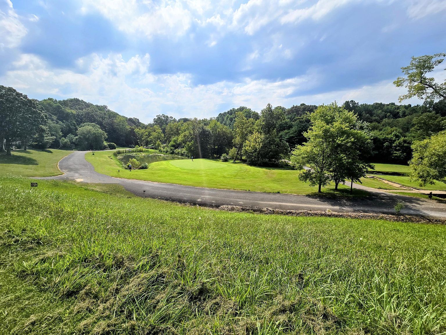 2042 Willow Springs Dr Athens, TN 37303 - Thumbnail 5