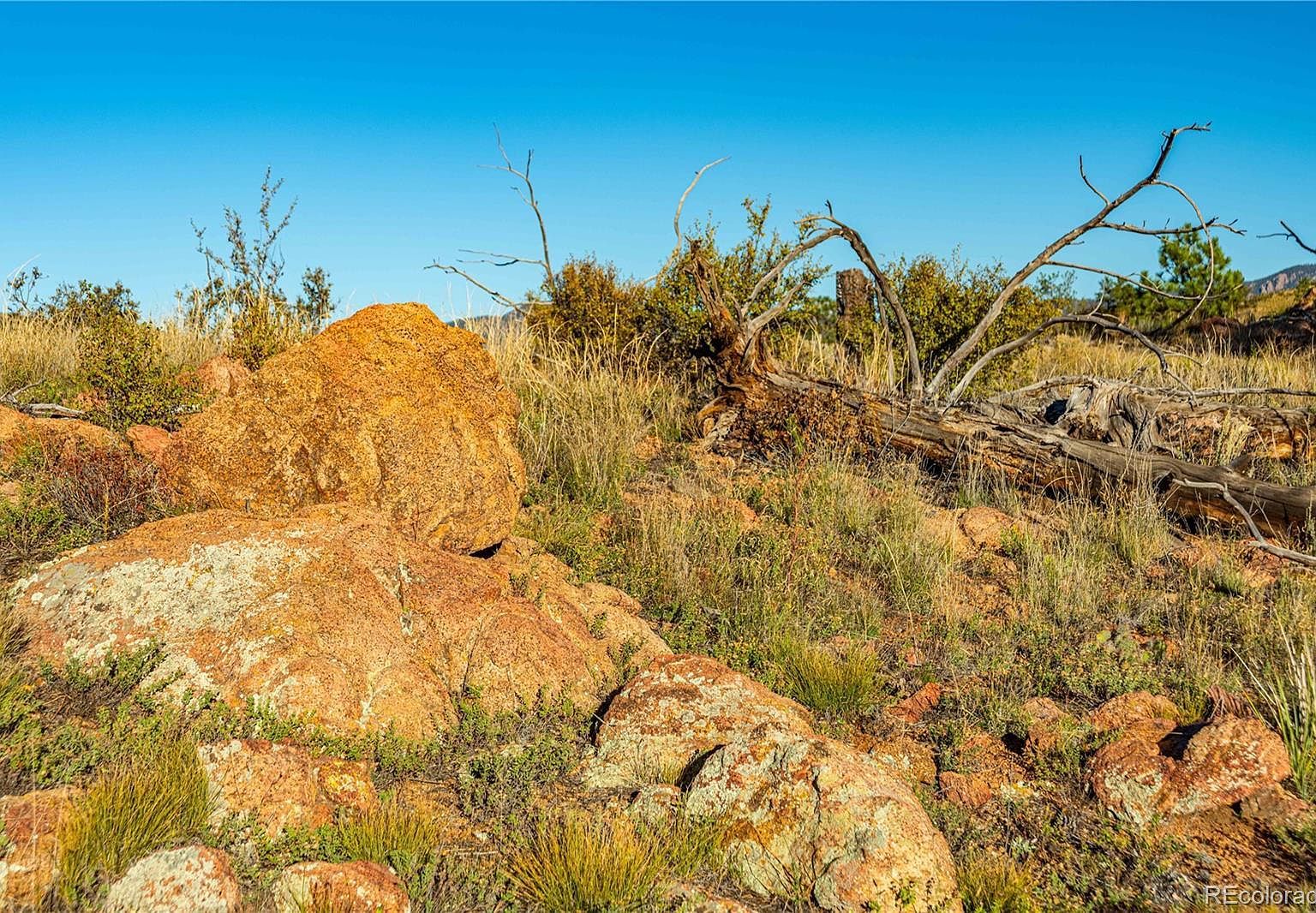 0 Mac Donnell Dr Cotopaxi, CO 81223 - Thumbnail 5