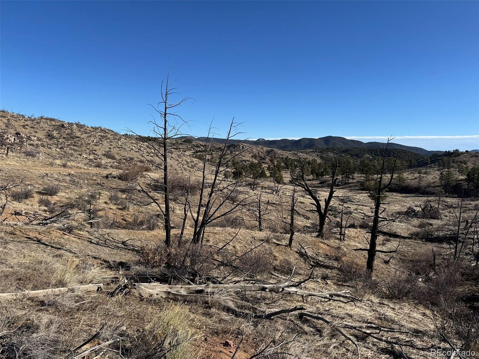 F Path And 37th Trl Cotopaxi, CO 81223 - Thumbnail 5