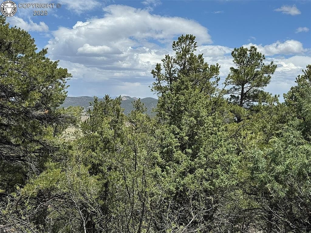 33rd Trl Cotopaxi, CO 81223 - Thumbnail 5