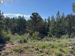 69 Coyote Run Cotopaxi, CO 81223 - Thumbnail 5
