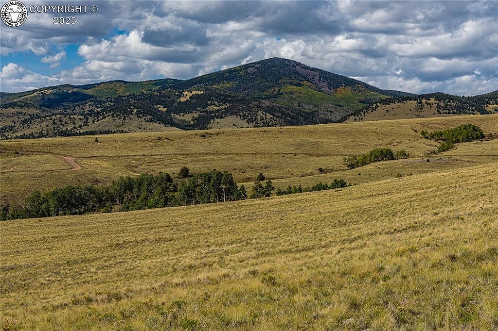 340 Huntley Pl Cotopaxi, CO 81223 - Thumbnail 5