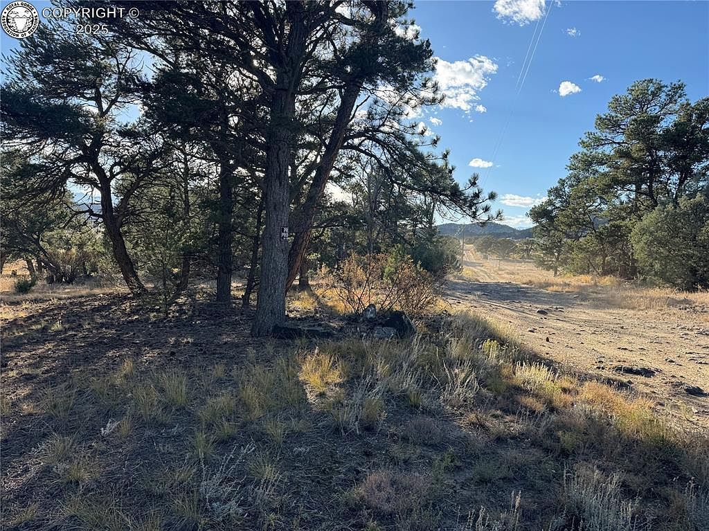 27 County Rd #A Cotopaxi, CO 81223 - Thumbnail 5