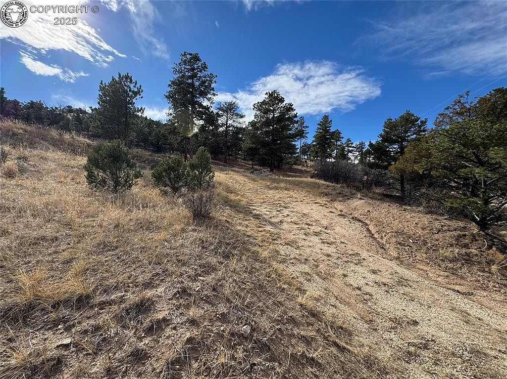 2926 E Path Cotopaxi, CO 81223 - Thumbnail 5